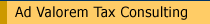 Ad Valorem Tax Consulting